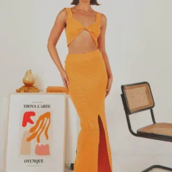 Soraya Midi Skirt - Orange -Stylo Craze Sales Store bde40315aa6f43fab46a82d29aa90cf1 scaled